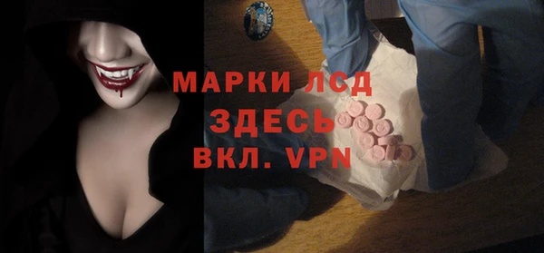 стафф Зерноград