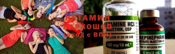 стафф Зерноград