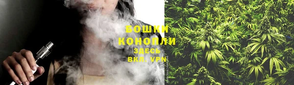 стафф Зерноград