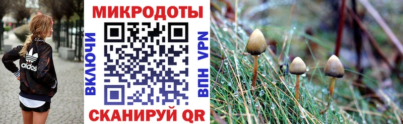 KRAKEN   мориарти состав  Псилоцибиновые грибы ЛСД  Мыски 