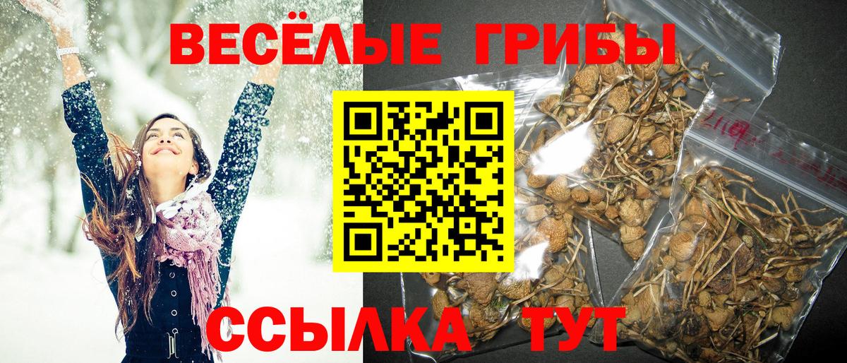 Галлюциногенные грибы мицелий Мыски