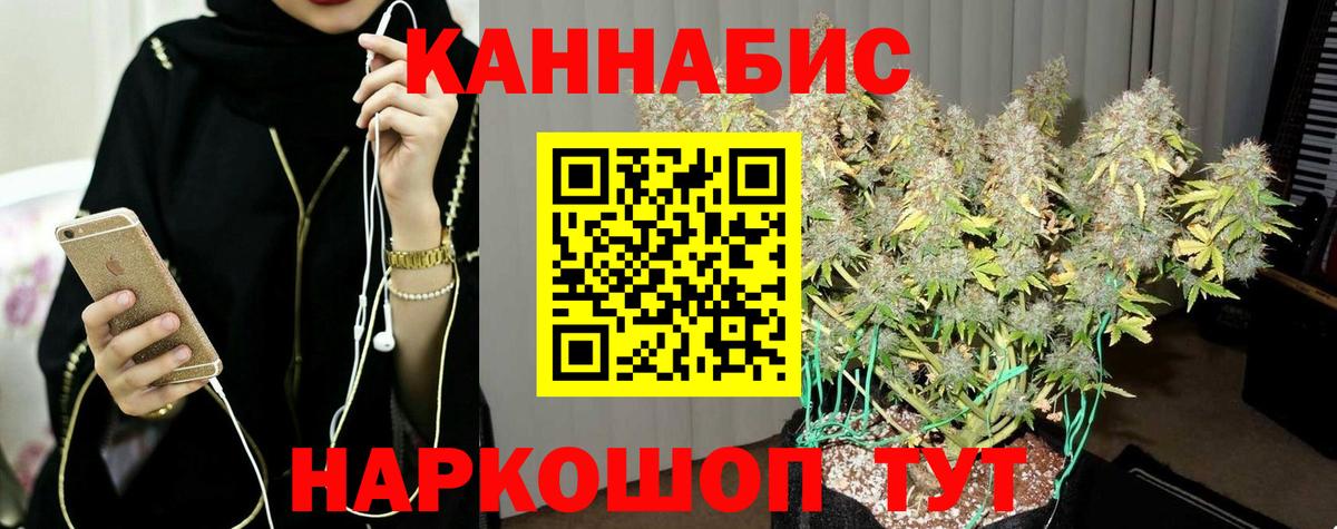 Бошки марихуана сатива  Каннабис индика  Мыски  Вход с VPN  Марихуана OG Kush 